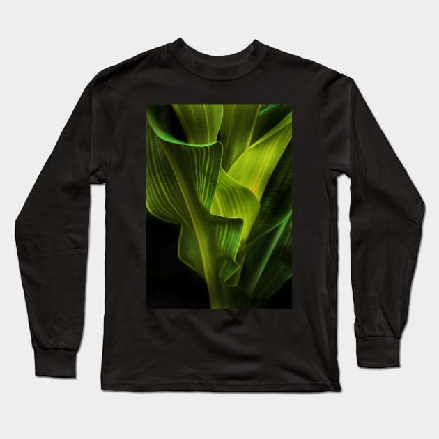 corn stalk Long Sleeve T-Shirt by lastgasp